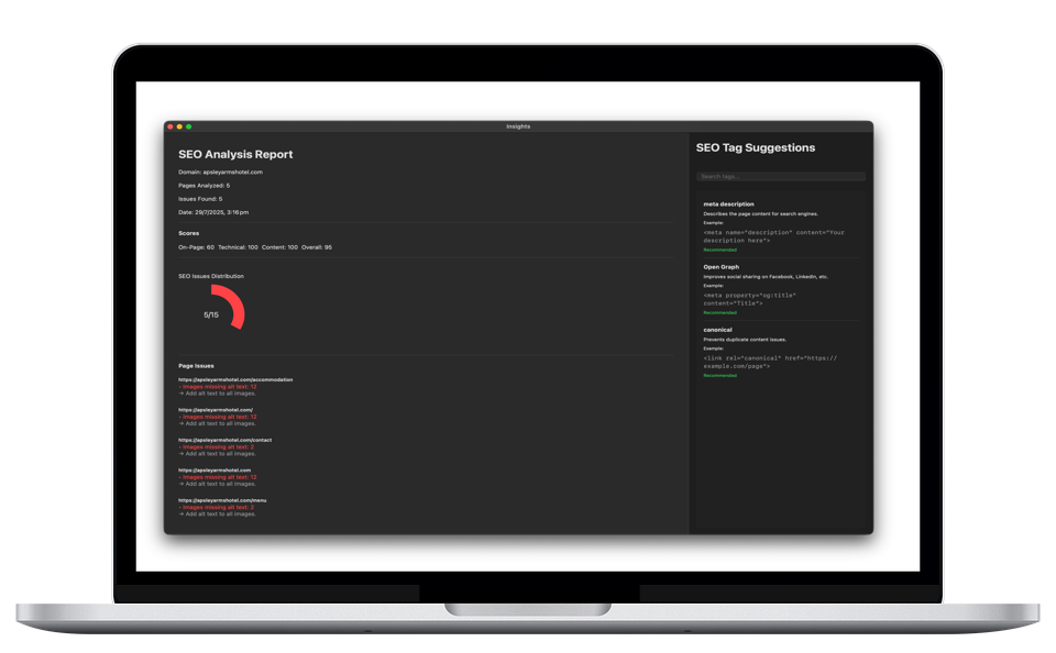 Screenshot of SEO Insights tool